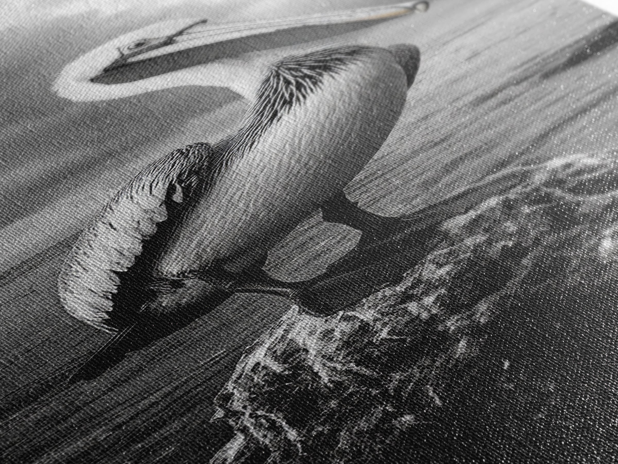 Coastal Bird Portrait, Ocean Wildlife, Nature Decor, Minimalist Art, Framed Canvas Print, Beach House Bathroom Wall Art, Living Room Art