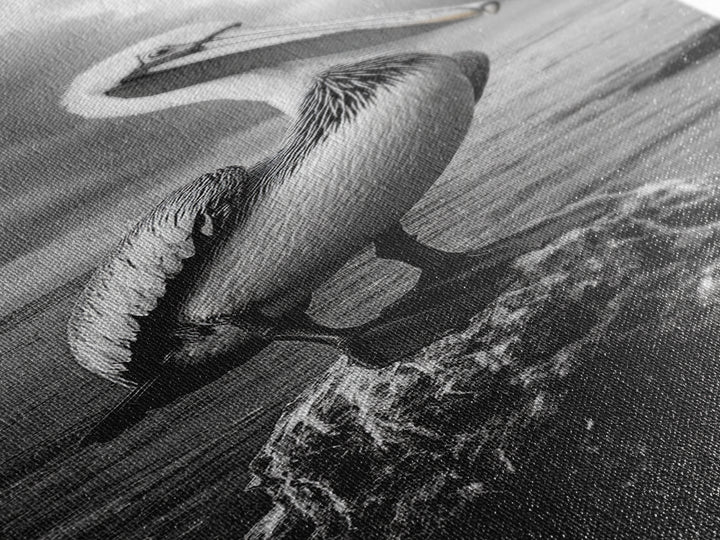 Coastal Bird Portrait, Ocean Wildlife, Nature Decor, Minimalist Art, Framed Canvas Print, Beach House Bathroom Wall Art, Living Room Art