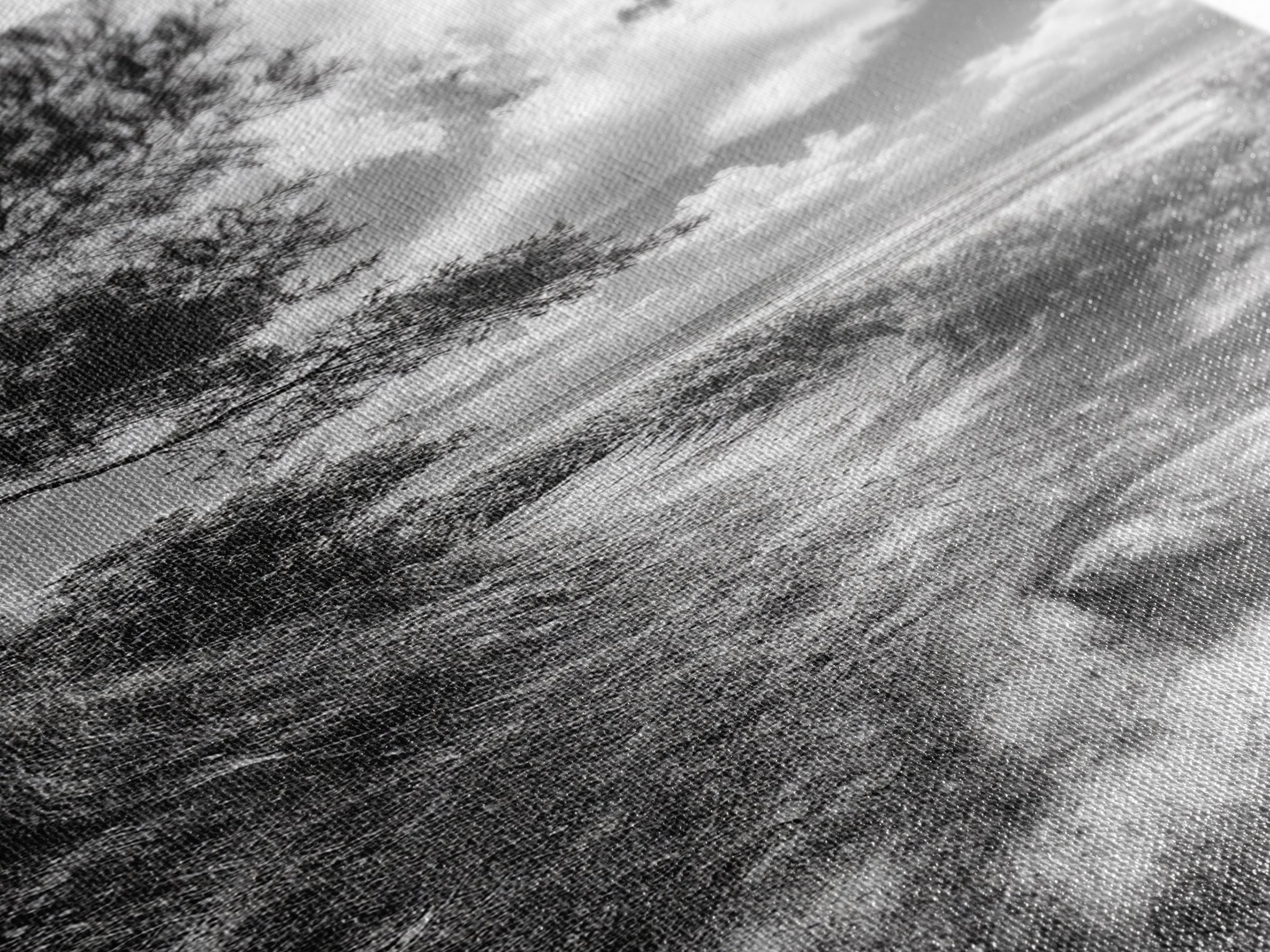 Coastal Nature Trail, Ocean Path View, Tranquil Landscape, Framed Canvas Print, Beach House Art, Bathroom Wall Art, Game Room Wall Art