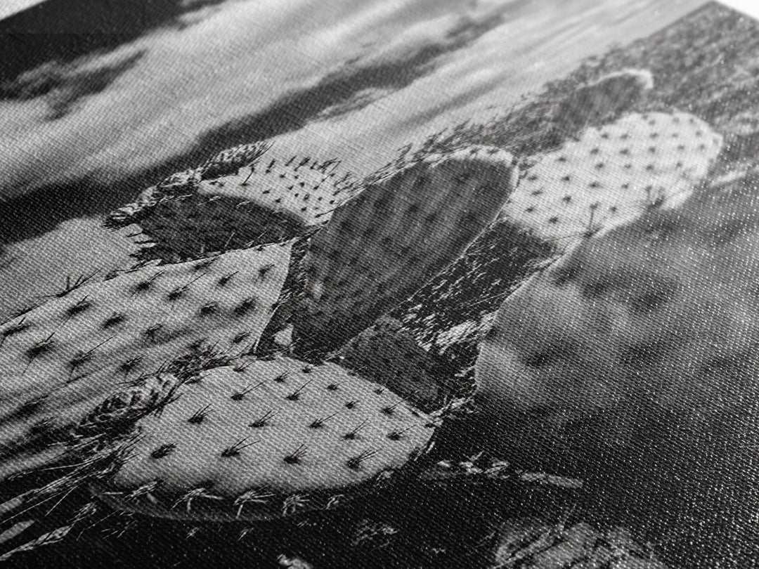 Desert Cactus Closeup, Prickly Pear Focus, Bold Nature Decor, Framed Canvas Print, Southwestern Kitchen Decor, Living Room Art