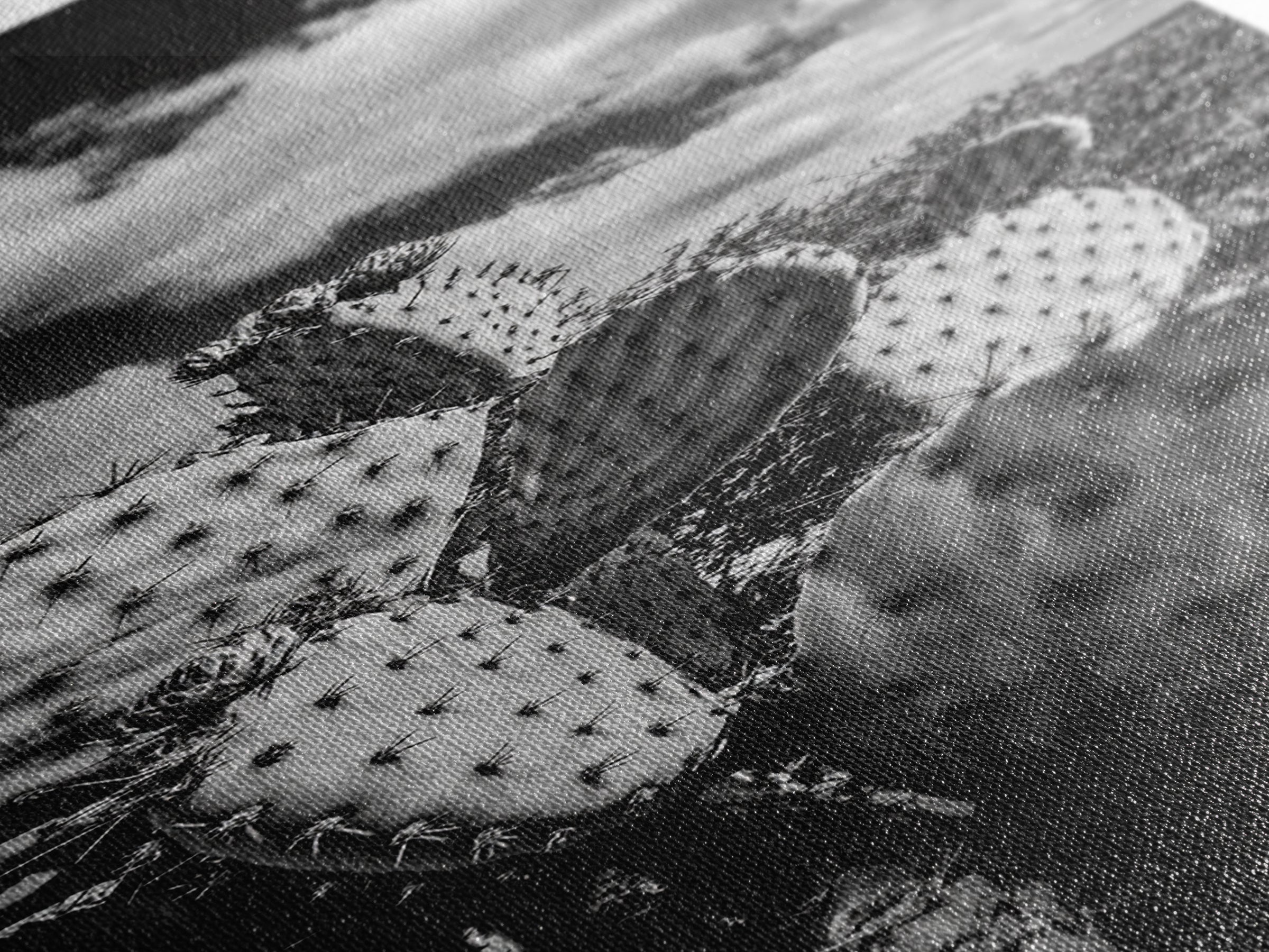 Desert Cactus Closeup, Prickly Pear Focus, Bold Nature Decor, Framed Canvas Print, Southwestern Kitchen Decor, Living Room Art