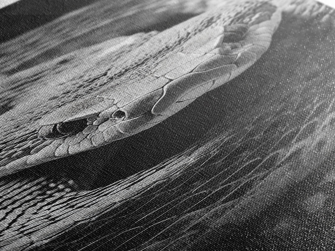 Coiled Snake, Wild Reptile, Black and White Snake, Fierce Eyes, Framed Canvas Print, Nature Lover Wall Art, Masculine Office Decor