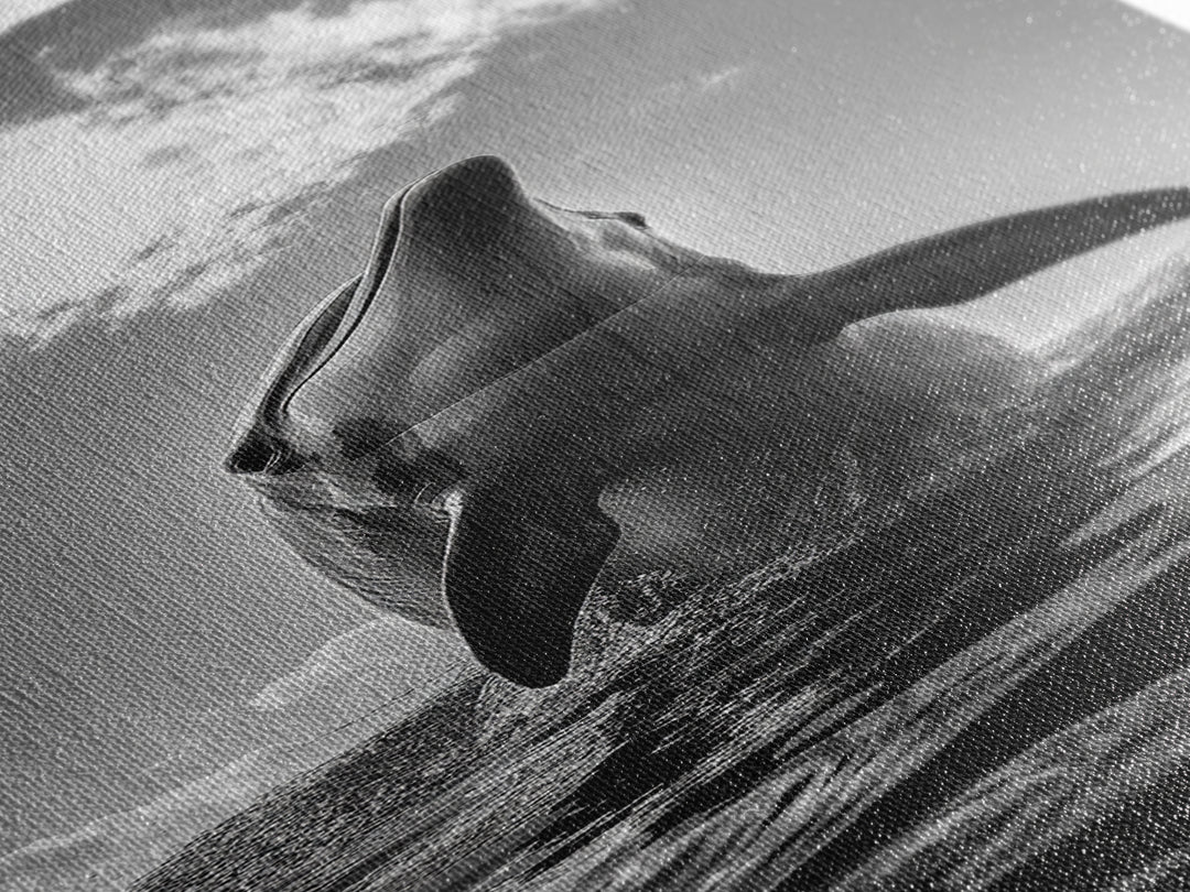 Dolphin Splash, Ocean Play, Marine Wildlife, Canvas Print, Coastal Bathroom Wall Art, Animal Lover Decor, Minimalist Ocean Scene