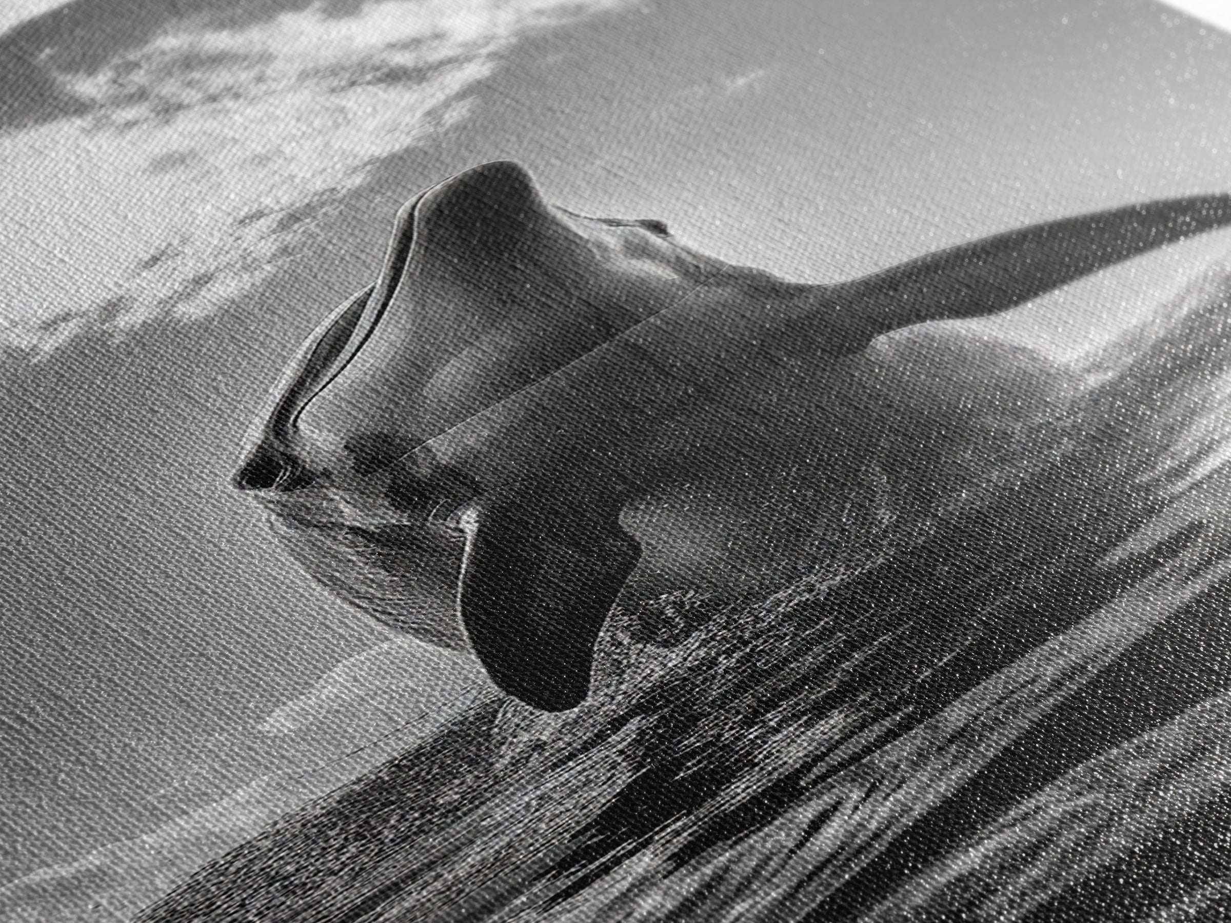 Dolphin Splash, Ocean Play, Marine Wildlife, Canvas Print, Coastal Bathroom Wall Art, Animal Lover Decor, Minimalist Ocean Scene