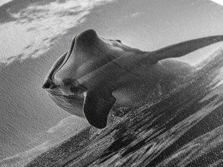 Dolphin Splash, Ocean Play, Marine Wildlife, Canvas Print, Coastal Bathroom Wall Art, Animal Lover Decor, Minimalist Ocean Scene