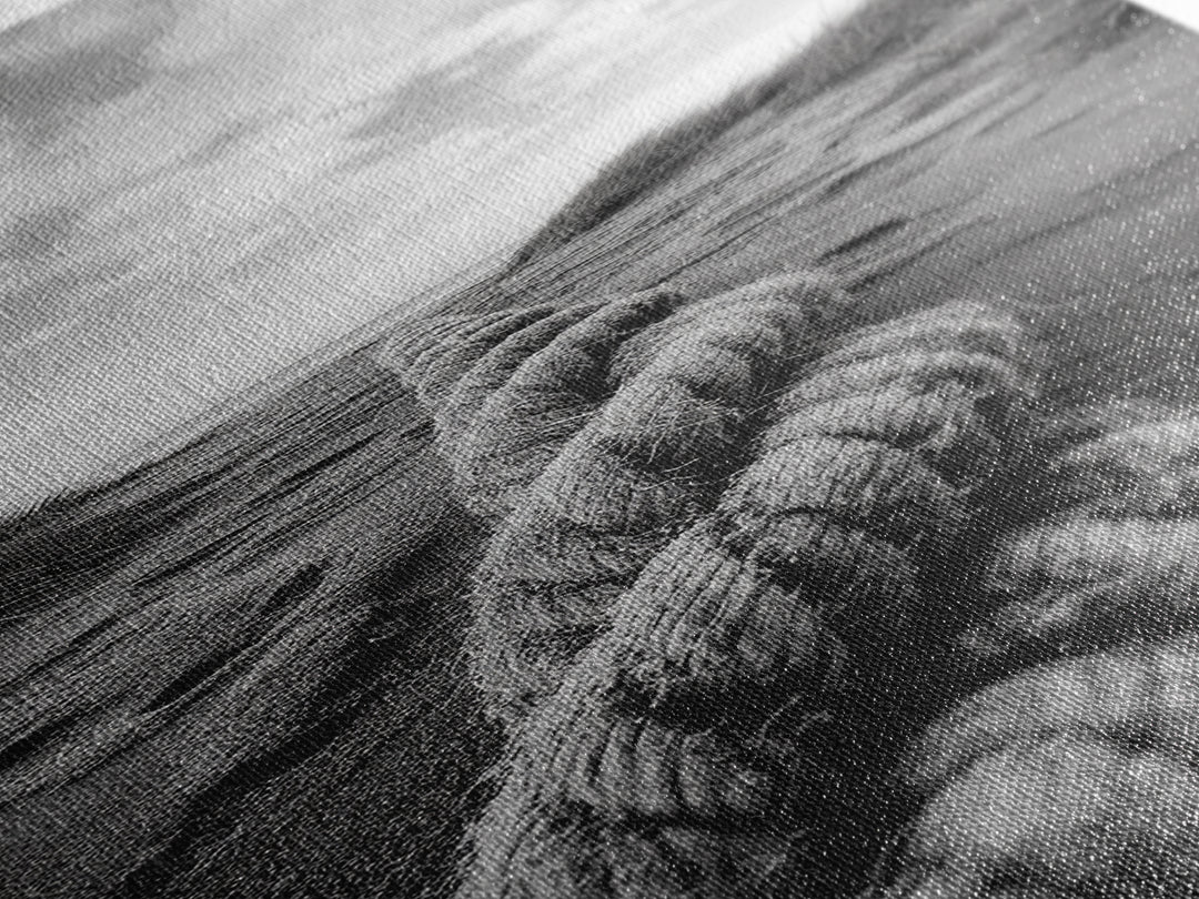 Rope in Sand, Beach Path Perspective, Coastal Journey, Framed Canvas Print, Bathroom Wall Art, Seaside Style, Minimalist Nautical Scene