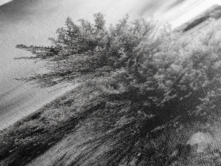 Desert Tree, Nature Minimalism, Solitary Landscape, Framed Canvas Print, Living Room Wall Art, Earth Tone Art, Tranquil Modern Decor