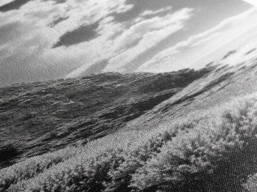 Coastal Shrubs, Rocky Beach, Sunlit Cliffside, Framed Canvas Print, Kitchen Wall Art, Black and White Nature, Scandinavian Home Style