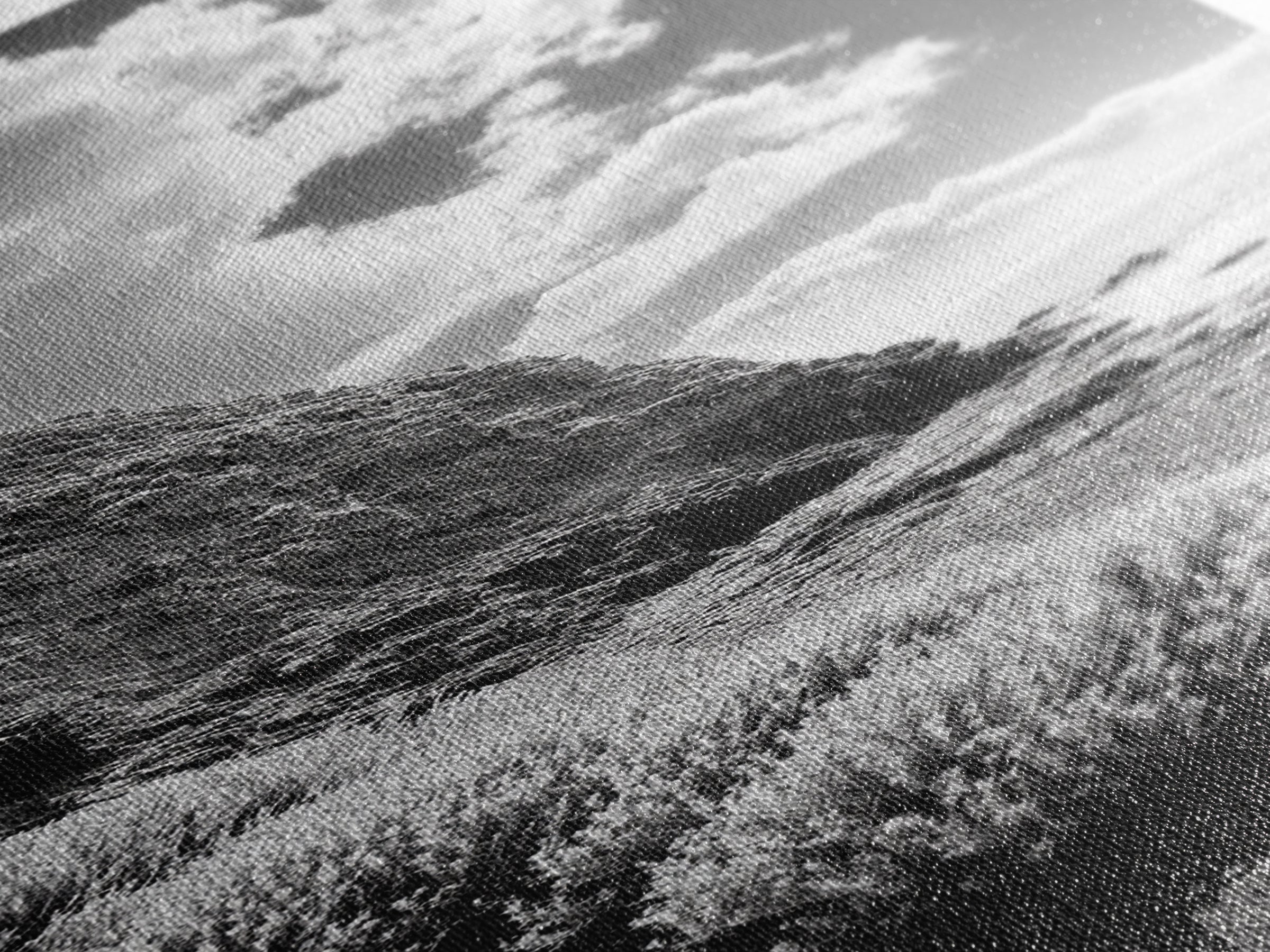 Coastal Shrubs, Rocky Beach, Sunlit Cliffside, Framed Canvas Print, Kitchen Wall Art, Black and White Nature, Scandinavian Home Style