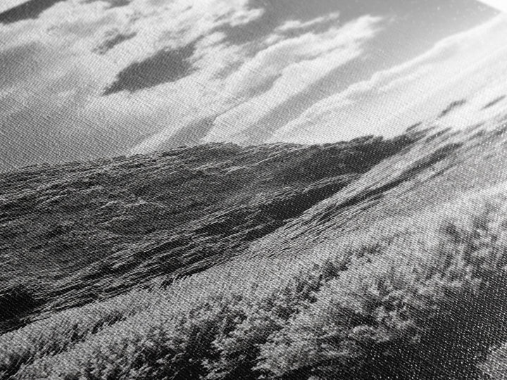 Coastal Shrubs, Rocky Beach, Sunlit Cliffside, Framed Canvas Print, Kitchen Wall Art, Black and White Nature, Scandinavian Home Style