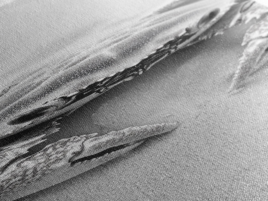 Crab Beach Art, Coastal Animal Print, Ocean Life Wall Decor, Bathroom or Kitchen Style, Framed Canvas Print, Black White Sea Creature