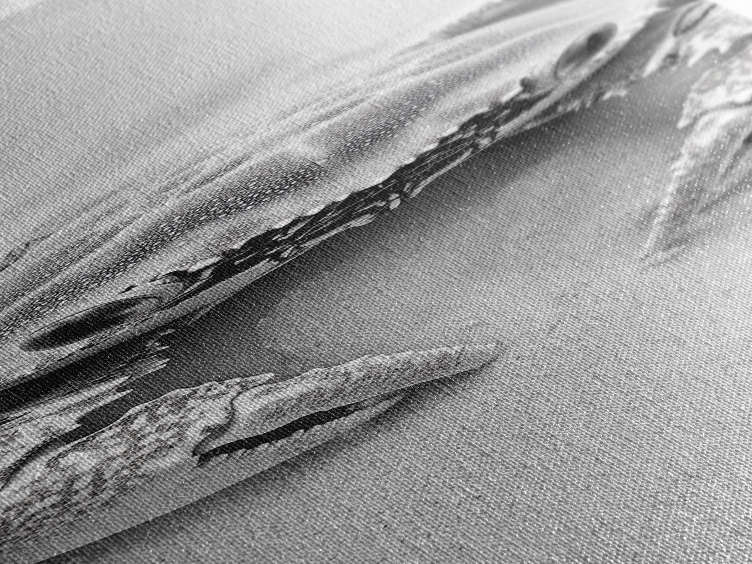 Crab Beach Art, Coastal Animal Print, Ocean Life Wall Decor, Bathroom or Kitchen Style, Framed Canvas Print, Black White Sea Creature