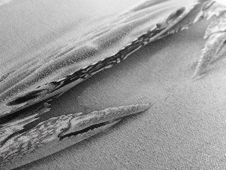 Crab Beach Art, Coastal Animal Print, Ocean Life Wall Decor, Bathroom or Kitchen Style, Framed Canvas Print, Black White Sea Creature