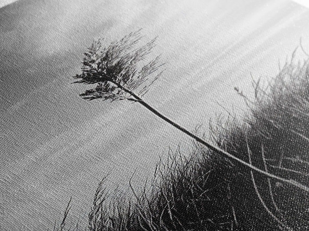 Solitary Grass Print, Minimalist Field Art, Tall Grass Photography, Rustic Bedroom Wall Decor, Framed Canvas Print, Fall Nature Vibe