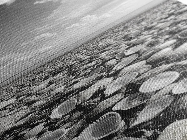Shell Beach, Coastal Texture, Seashell Ground, Nature’s Bounty, Rustic Ocean Canvas Print, Neutral Kitchen Wall Art, Boho Coastal Style