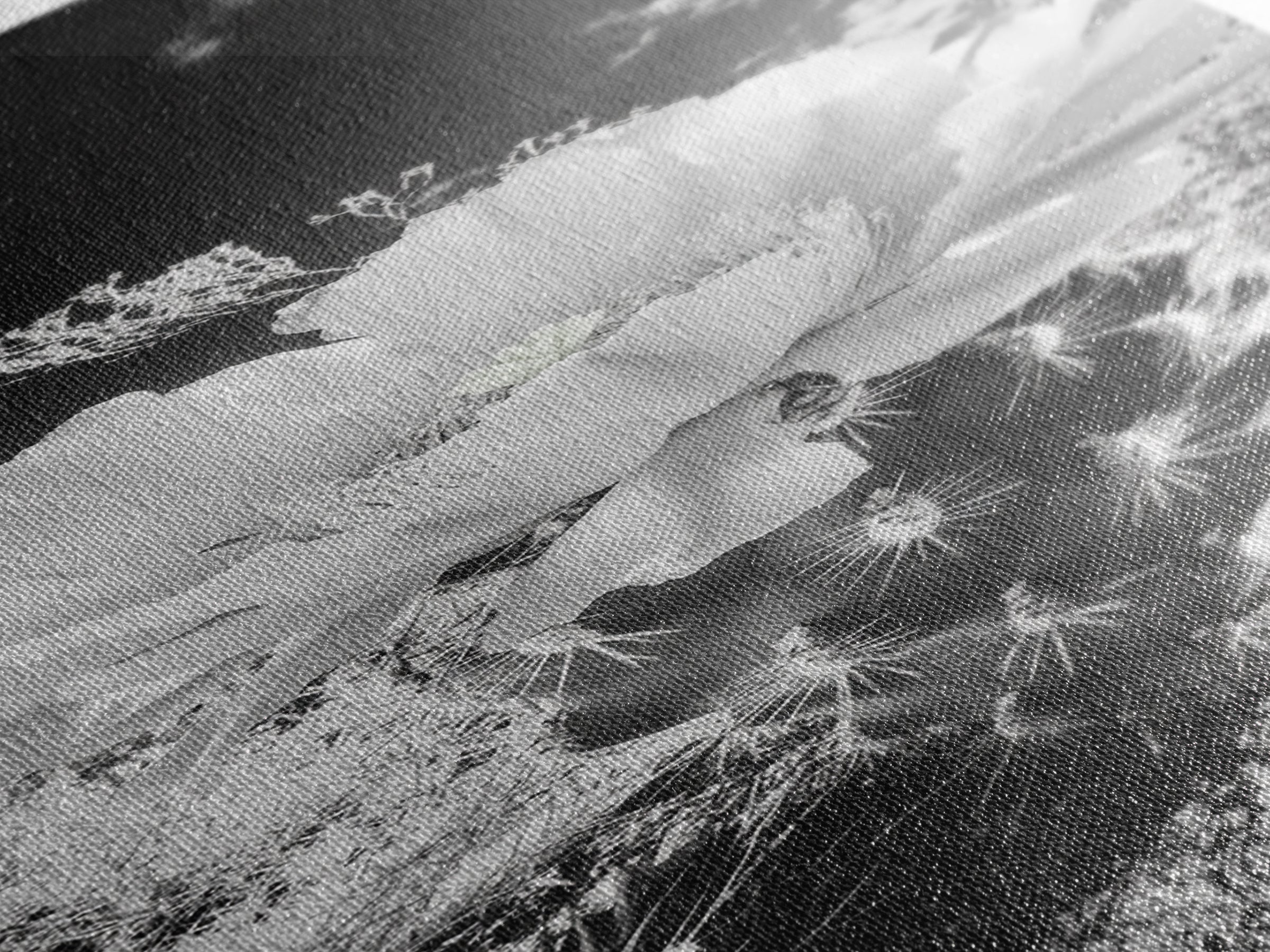 Desert Bloom Cactus, Southwest Art, Nature Floral Print, Cactus Photography, Framed Canvas Print, Kitchen Wall Art, Boho Wall Decor