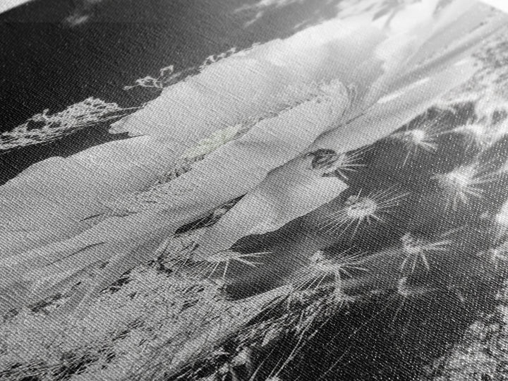 Desert Bloom Cactus, Southwest Art, Nature Floral Print, Cactus Photography, Framed Canvas Print, Kitchen Wall Art, Boho Wall Decor