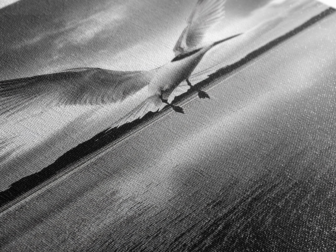 Soaring Bird, Ocean Wings, Nature Flight, Sky Spirit, Canvas Print, Coastal Wall Art, Beach House Decor, Modern Bird Photography