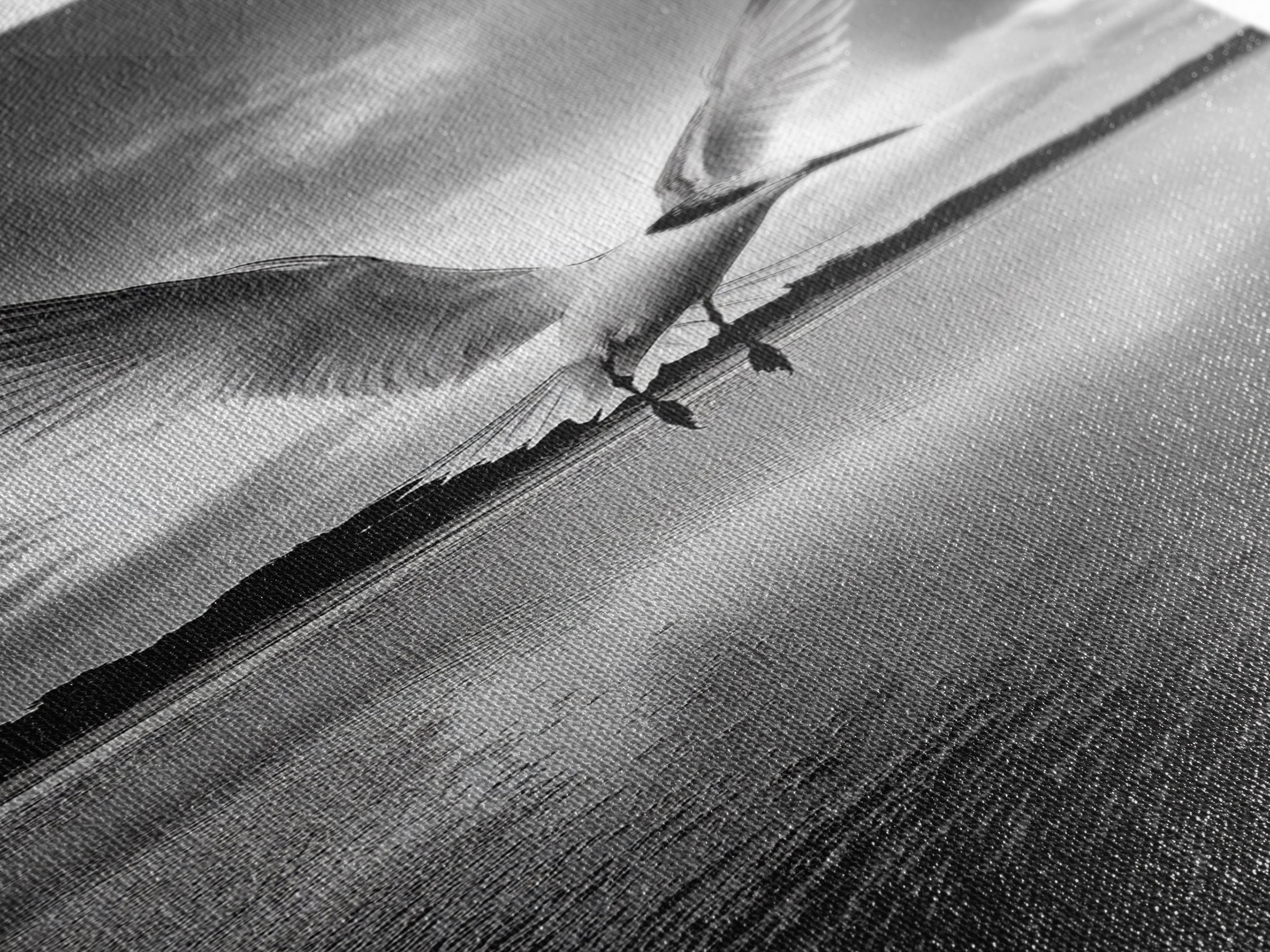 Soaring Bird, Ocean Wings, Nature Flight, Sky Spirit, Canvas Print, Coastal Wall Art, Beach House Decor, Modern Bird Photography