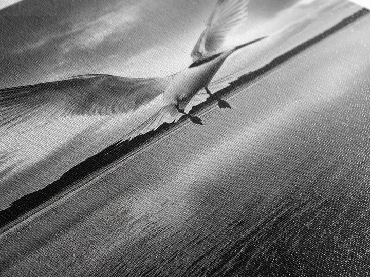 Soaring Bird, Ocean Wings, Nature Flight, Sky Spirit, Canvas Print, Coastal Wall Art, Beach House Decor, Modern Bird Photography