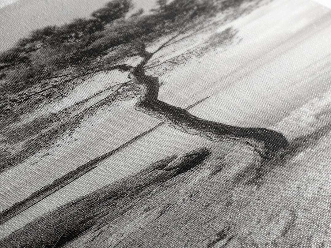 Coastal Tree, Seaside Calm, Lone Pine, Framed Canvas Print, Neutral Wall Art, Minimalist Decor, Nature Inspired Bedroom Print