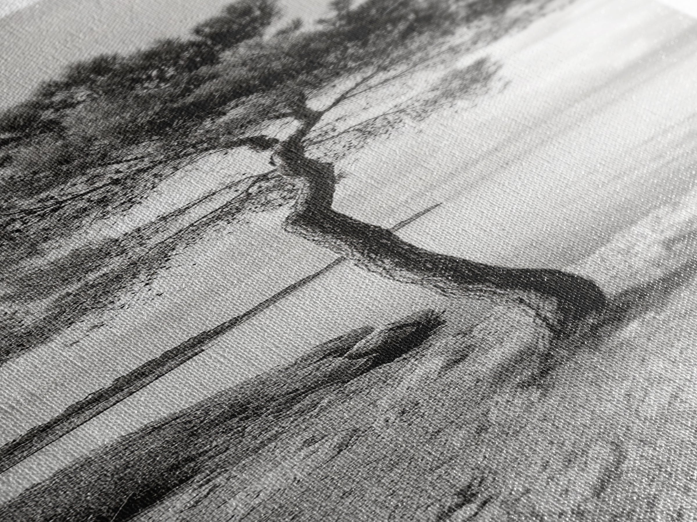 Coastal Tree, Seaside Calm, Lone Pine, Framed Canvas Print, Neutral Wall Art, Minimalist Decor, Nature Inspired Bedroom Print