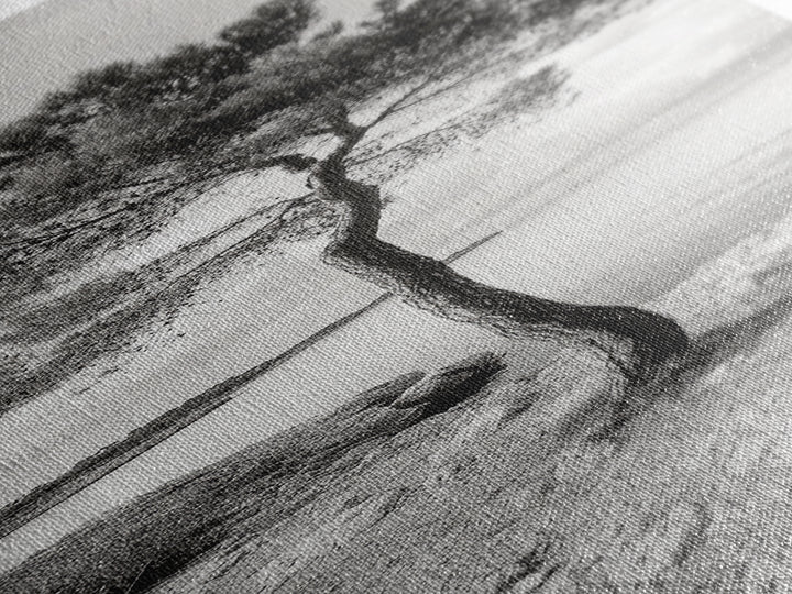 Coastal Tree, Seaside Calm, Lone Pine, Framed Canvas Print, Neutral Wall Art, Minimalist Decor, Nature Inspired Bedroom Print