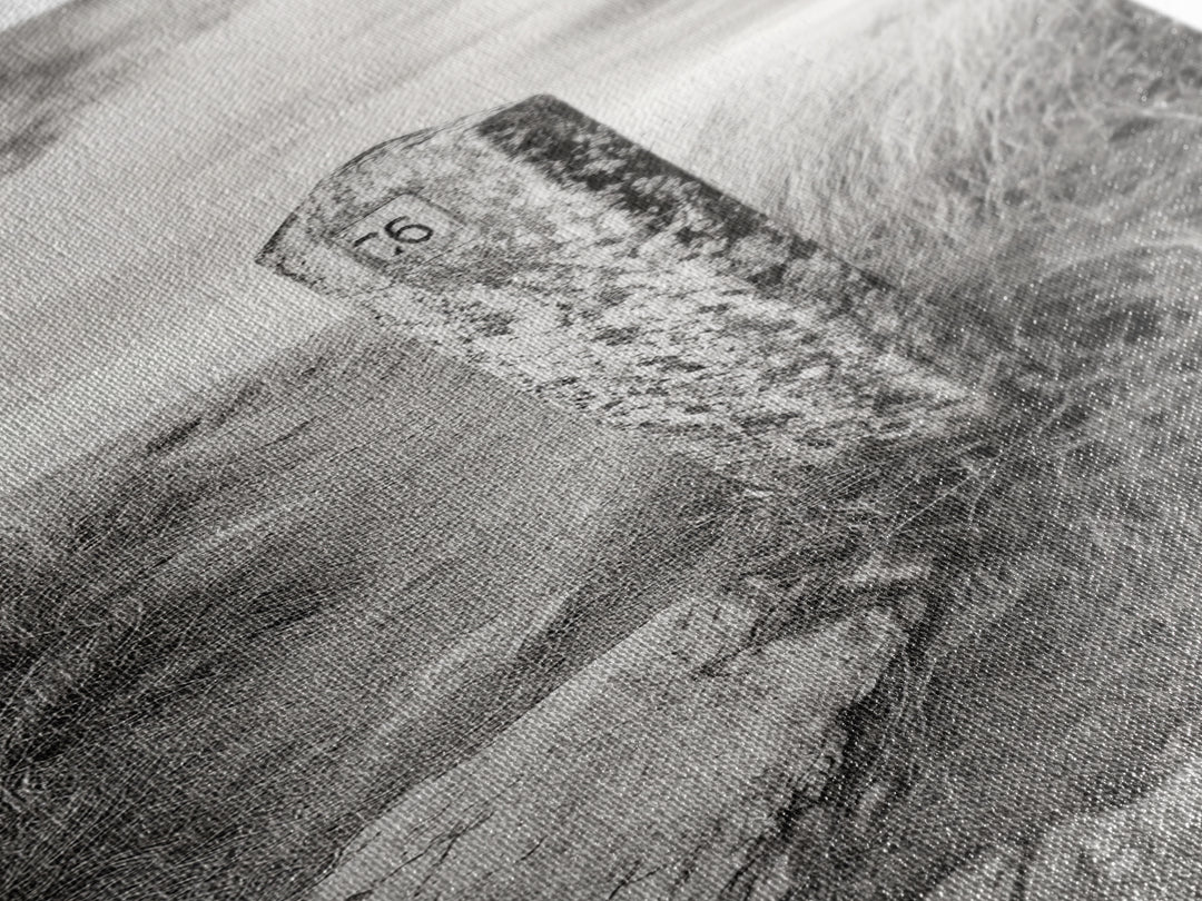 Rural Path, Weathered Stone, Grassy Trail, Framed Canvas Print, Rustic Nature Wall Art, Minimalist Entryway Decor, Autumn Landscape Art