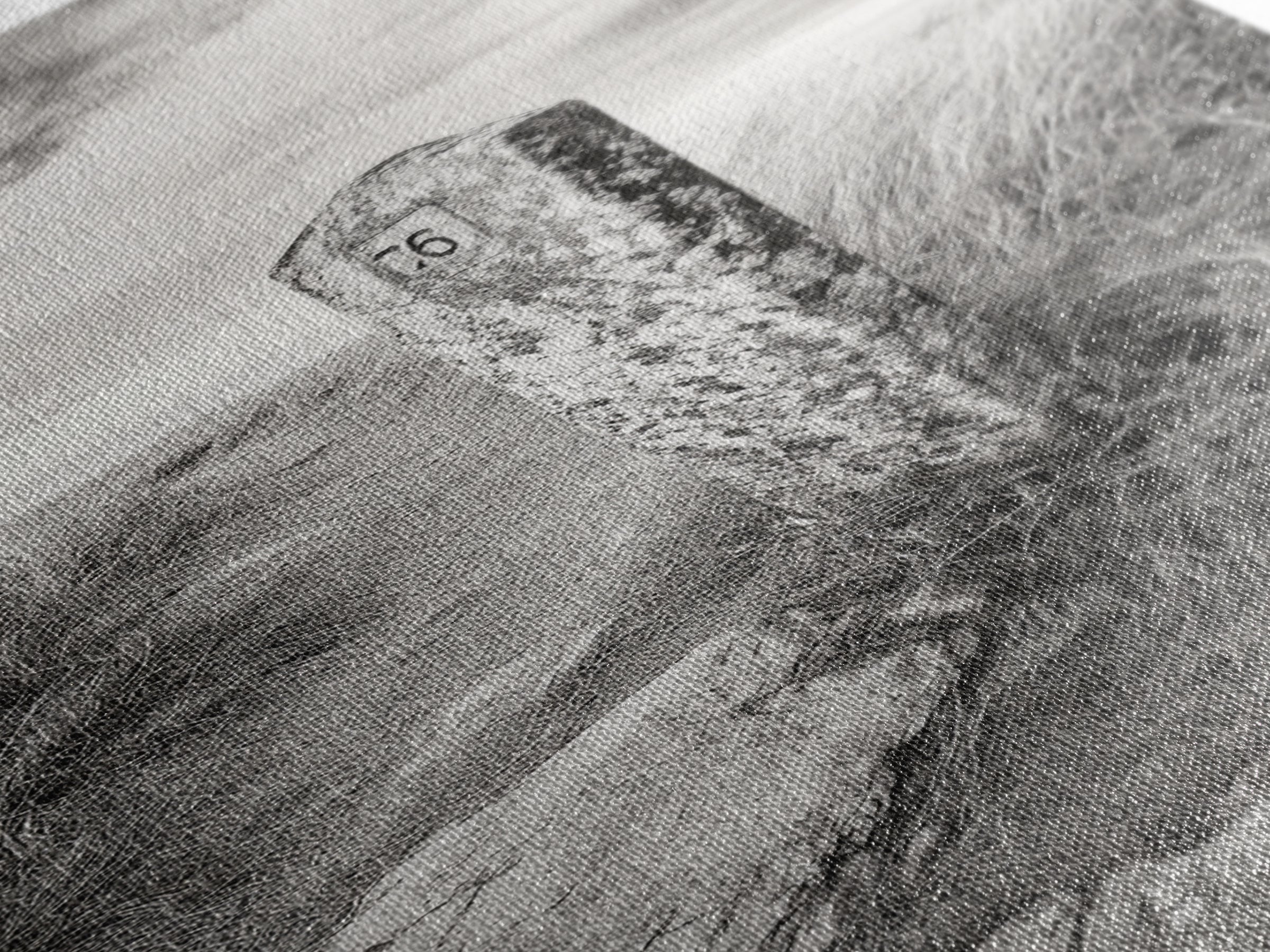 Rural Path, Weathered Stone, Grassy Trail, Framed Canvas Print, Rustic Nature Wall Art, Minimalist Entryway Decor, Autumn Landscape Art