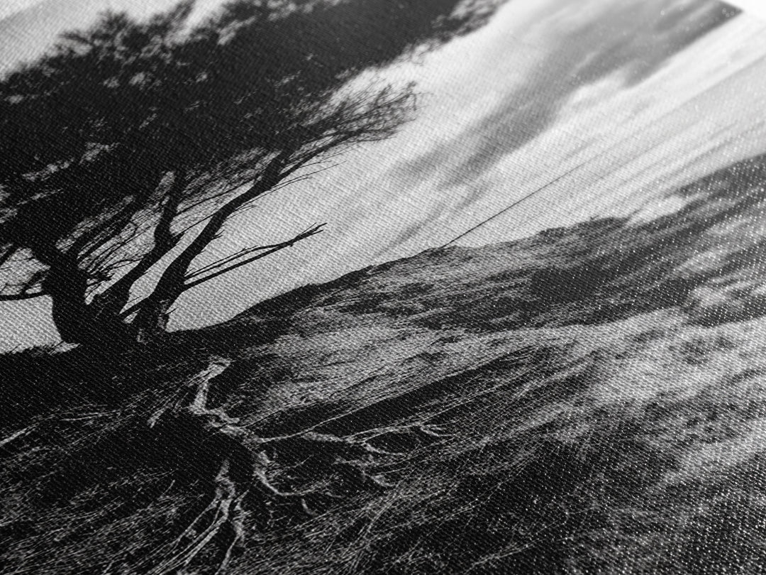 Cliff Tree, Coastal Roots, Dramatic Landscape, Framed Canvas Print, Bold Nature Wall Art, Modern Black And White Decor, Fall Office Accent