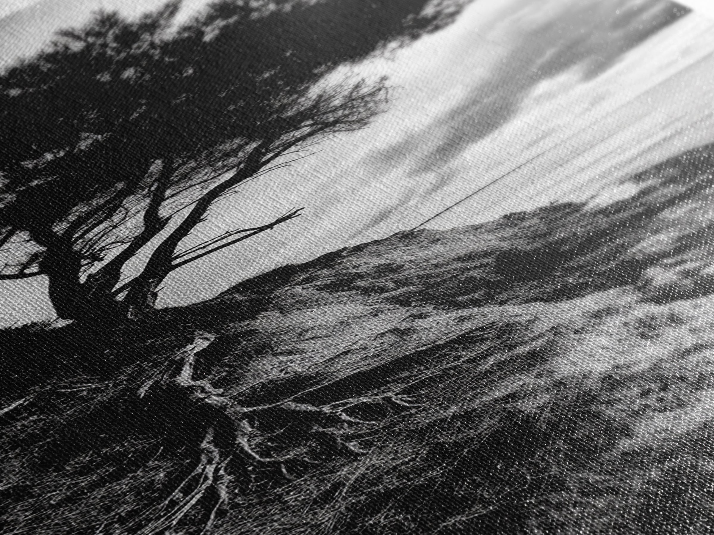 Cliff Tree, Coastal Roots, Dramatic Landscape, Framed Canvas Print, Bold Nature Wall Art, Modern Black And White Decor, Fall Office Accent