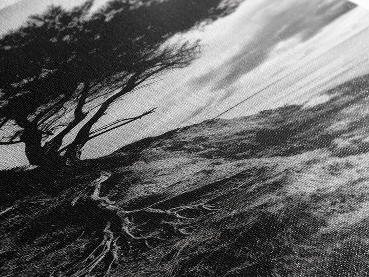 Cliff Tree, Coastal Roots, Dramatic Landscape, Framed Canvas Print, Bold Nature Wall Art, Modern Black And White Decor, Fall Office Accent