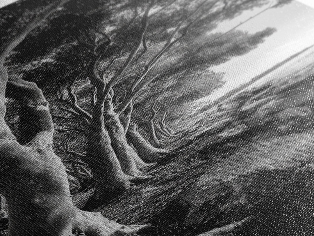 Riverside Trees, Rocky Shore, Natural Light, Canvas Print, Tranquil Forest Photography, Boho Nature Decor, Living Room Wall Art