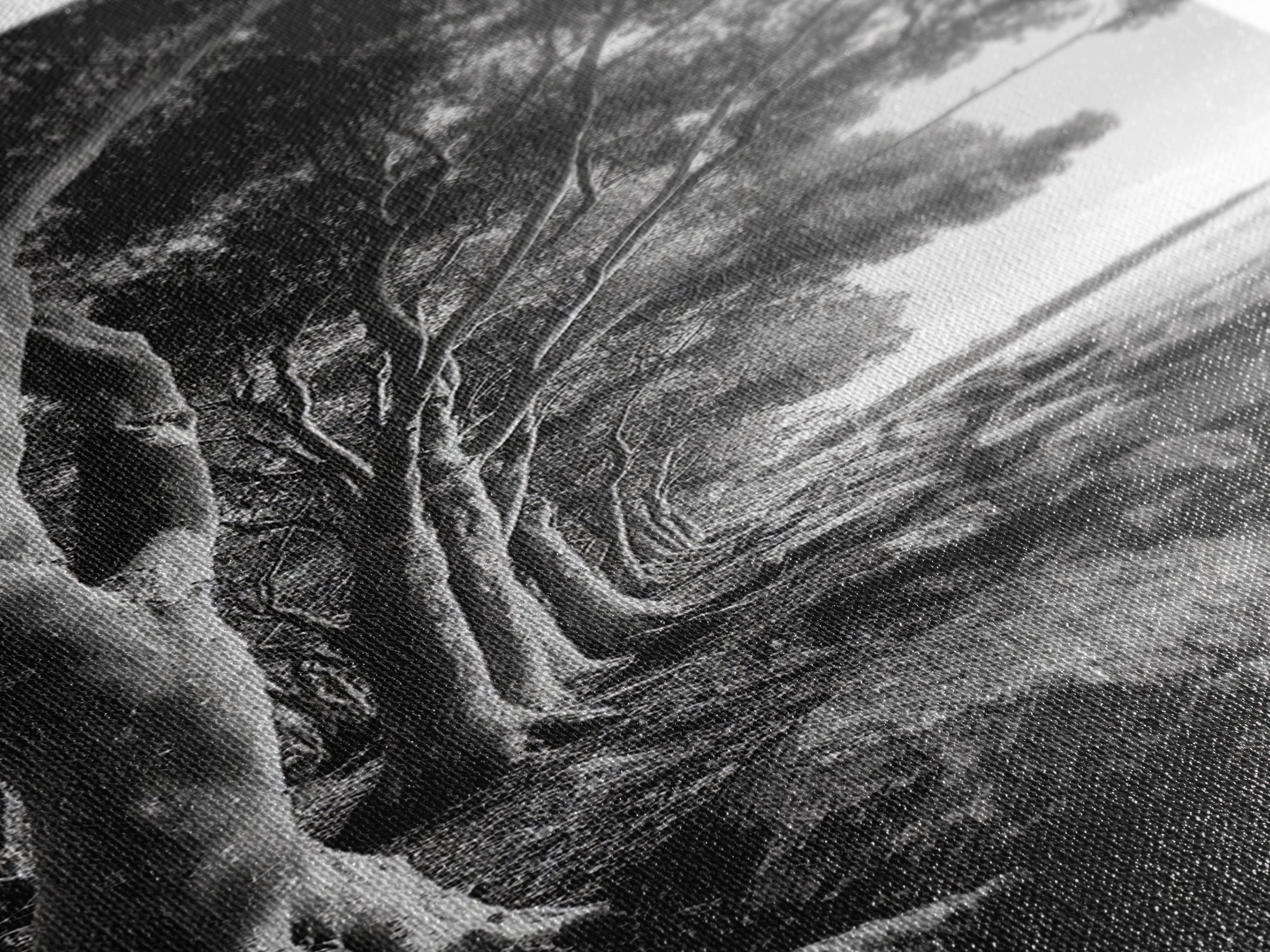 Riverside Trees, Rocky Shore, Natural Light, Canvas Print, Tranquil Forest Photography, Boho Nature Decor, Living Room Wall Art