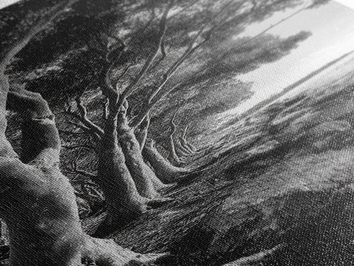 Riverside Trees, Rocky Shore, Natural Light, Canvas Print, Tranquil Forest Photography, Boho Nature Decor, Living Room Wall Art