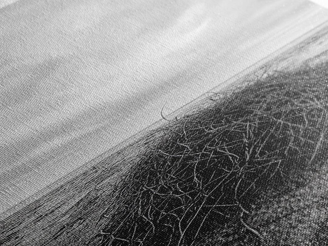 Drift Bundle, Desert Shore, Coastal Minimal, Framed Canvas Print, Moody Beach Photography, Boho Wall Decor, Autumn Entryway Art