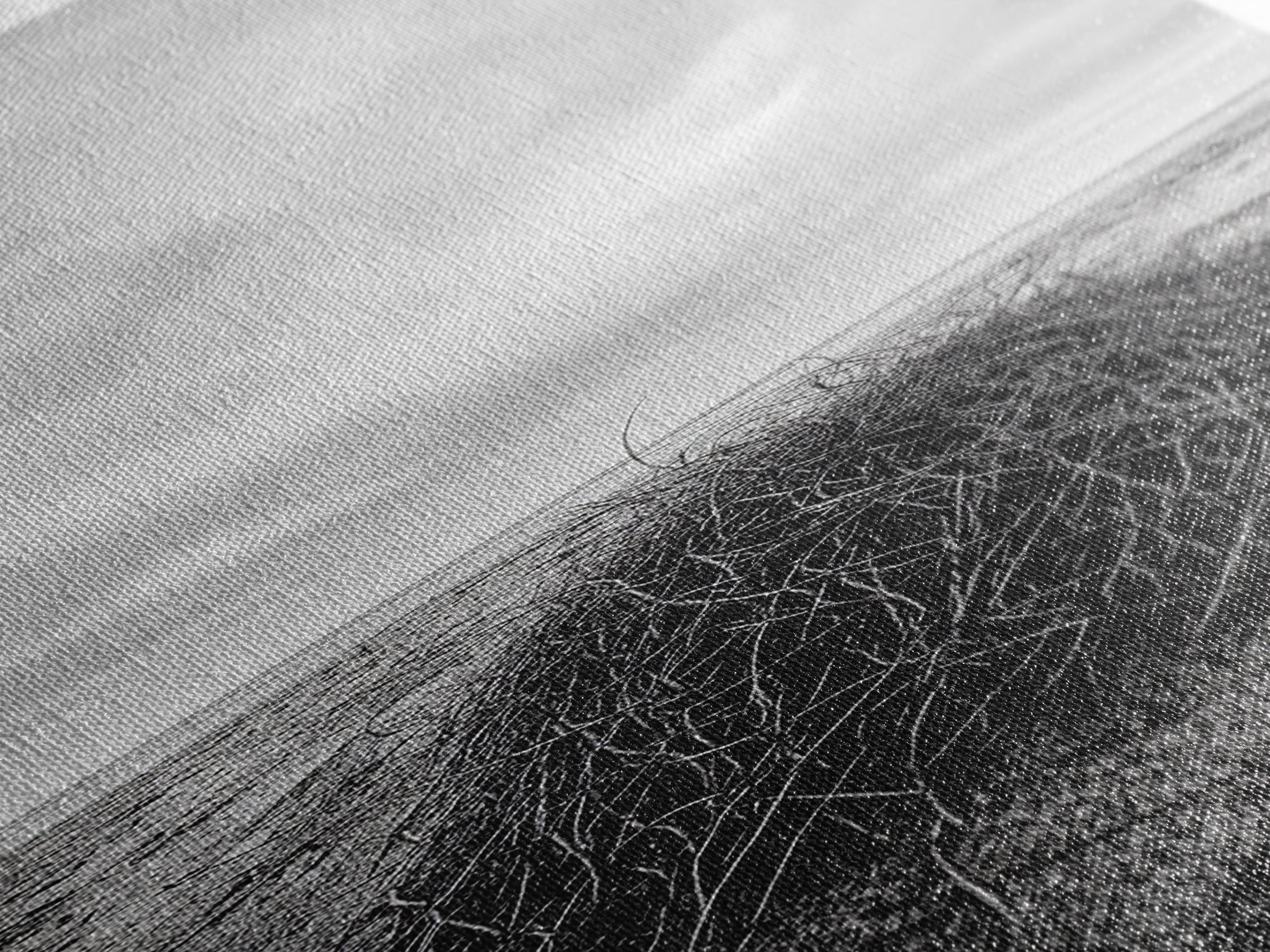 Drift Bundle, Desert Shore, Coastal Minimal, Framed Canvas Print, Moody Beach Photography, Boho Wall Decor, Autumn Entryway Art