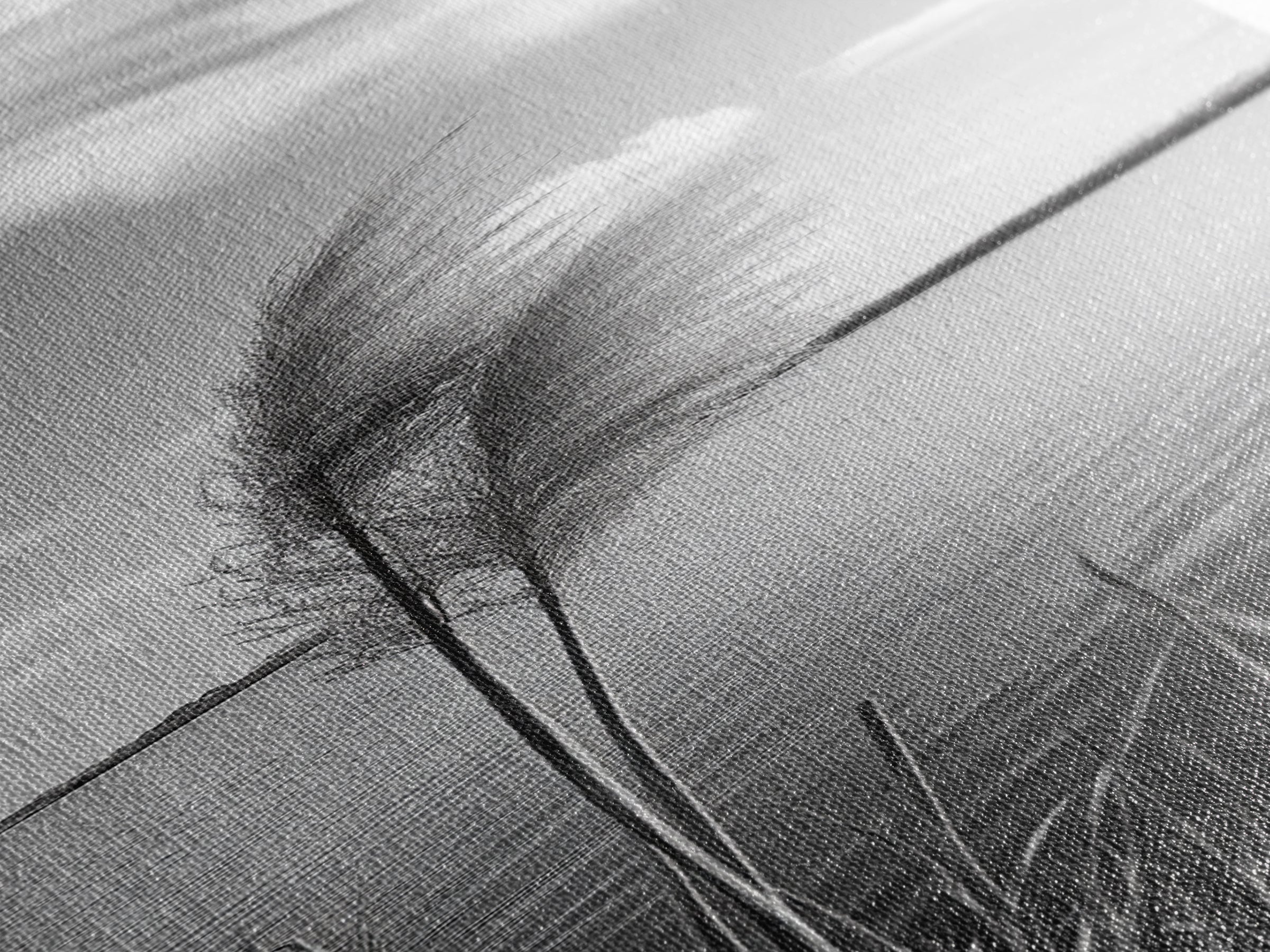 Lakeside Grasses, Windy Waterscape Print, Minimal Nature Art, Calm Landscape Decor, Bathroom or Office Wall Art, Canvas Print