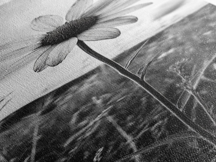 Single Daisy Bloom, Minimalist Botanical, Black White Flower, Framed Canvas Print, Nature Inspired Art, Bedroom Wall Decor, Modern Farmhouse