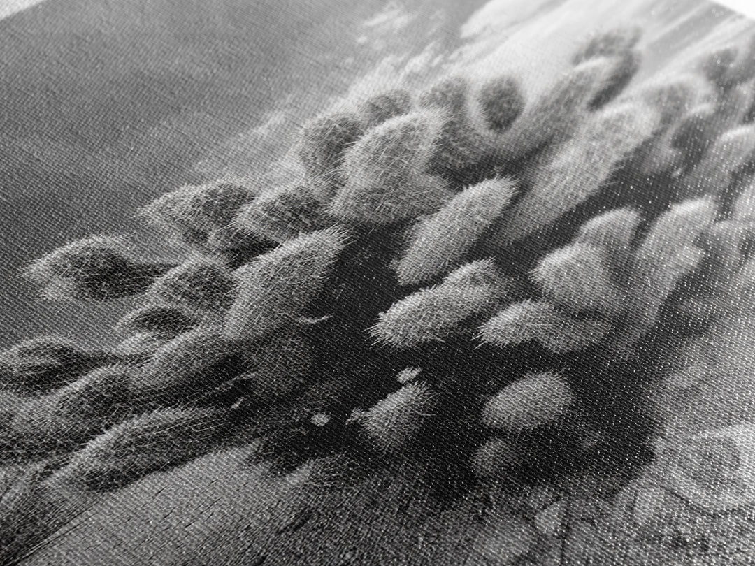 Desert Cactus, Nature Photography, Black White Art, Canvas Print, Boho Western Wall Decor, Modern Rustic Living Room Art, Nature Print