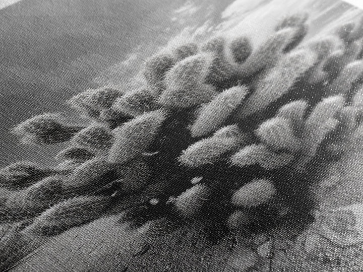 Desert Cactus, Nature Photography, Black White Art, Canvas Print, Boho Western Wall Decor, Modern Rustic Living Room Art, Nature Print