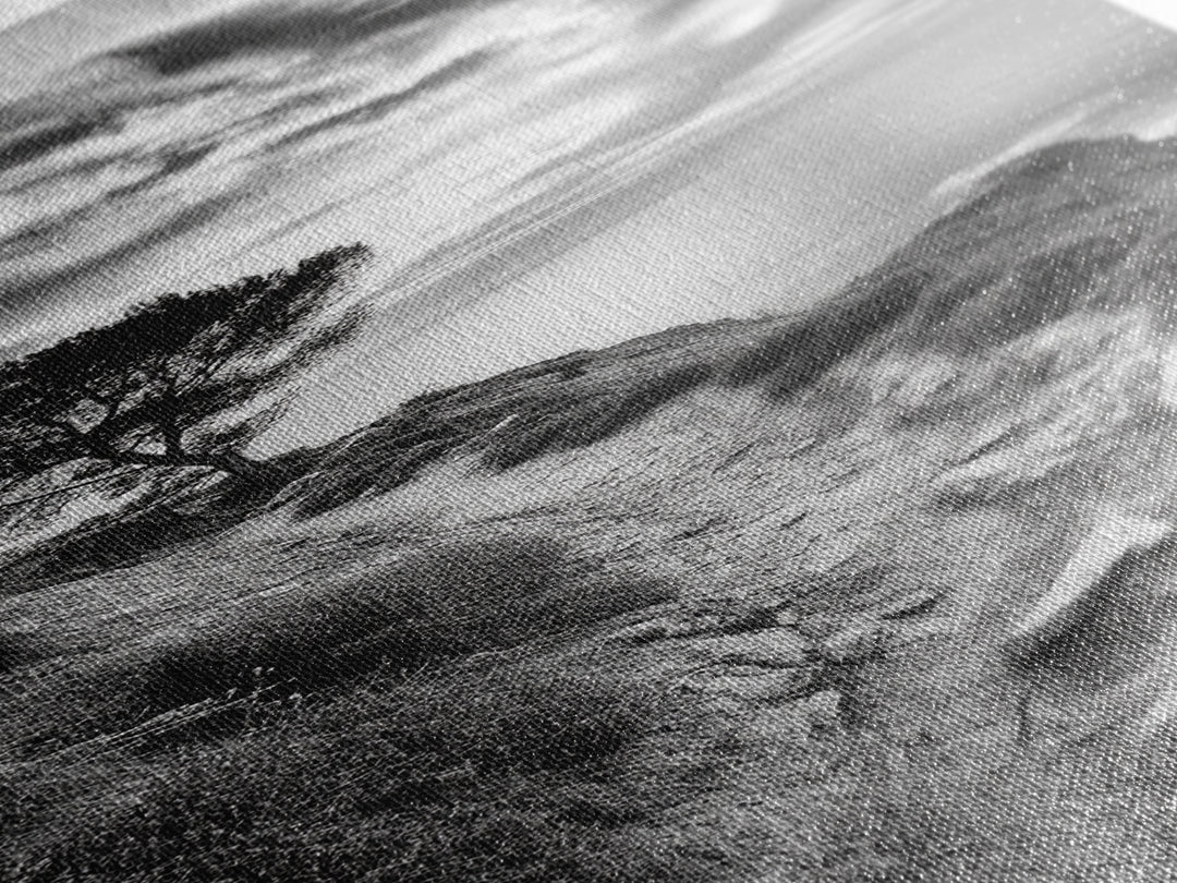 Cliffside Tree, Coastal Path, Nature Landscape, Canvas Print, Monochrome Hiking Trail Art, Boho Entryway or Office Wall Decor