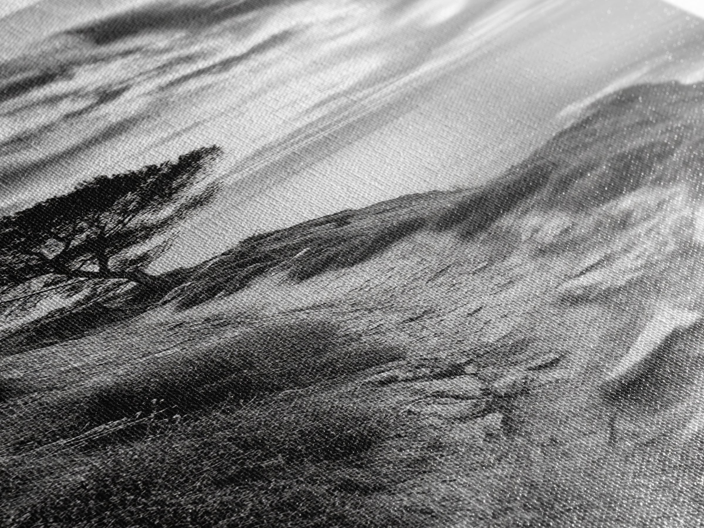 Cliffside Tree, Coastal Path, Nature Landscape, Canvas Print, Monochrome Hiking Trail Art, Boho Entryway or Office Wall Decor