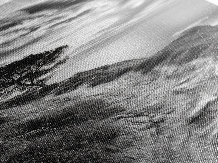 Cliffside Tree, Coastal Path, Nature Landscape, Canvas Print, Monochrome Hiking Trail Art, Boho Entryway or Office Wall Decor