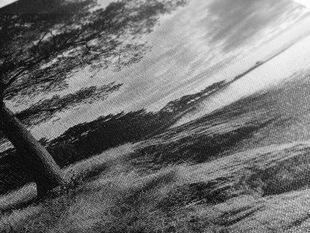 Coastal Tree, Ocean Horizon, Windswept Shore, Nature Calm, Moody Sky, Framed Canvas Print, Office Wall Art, Coastal Rustic Aesthetic