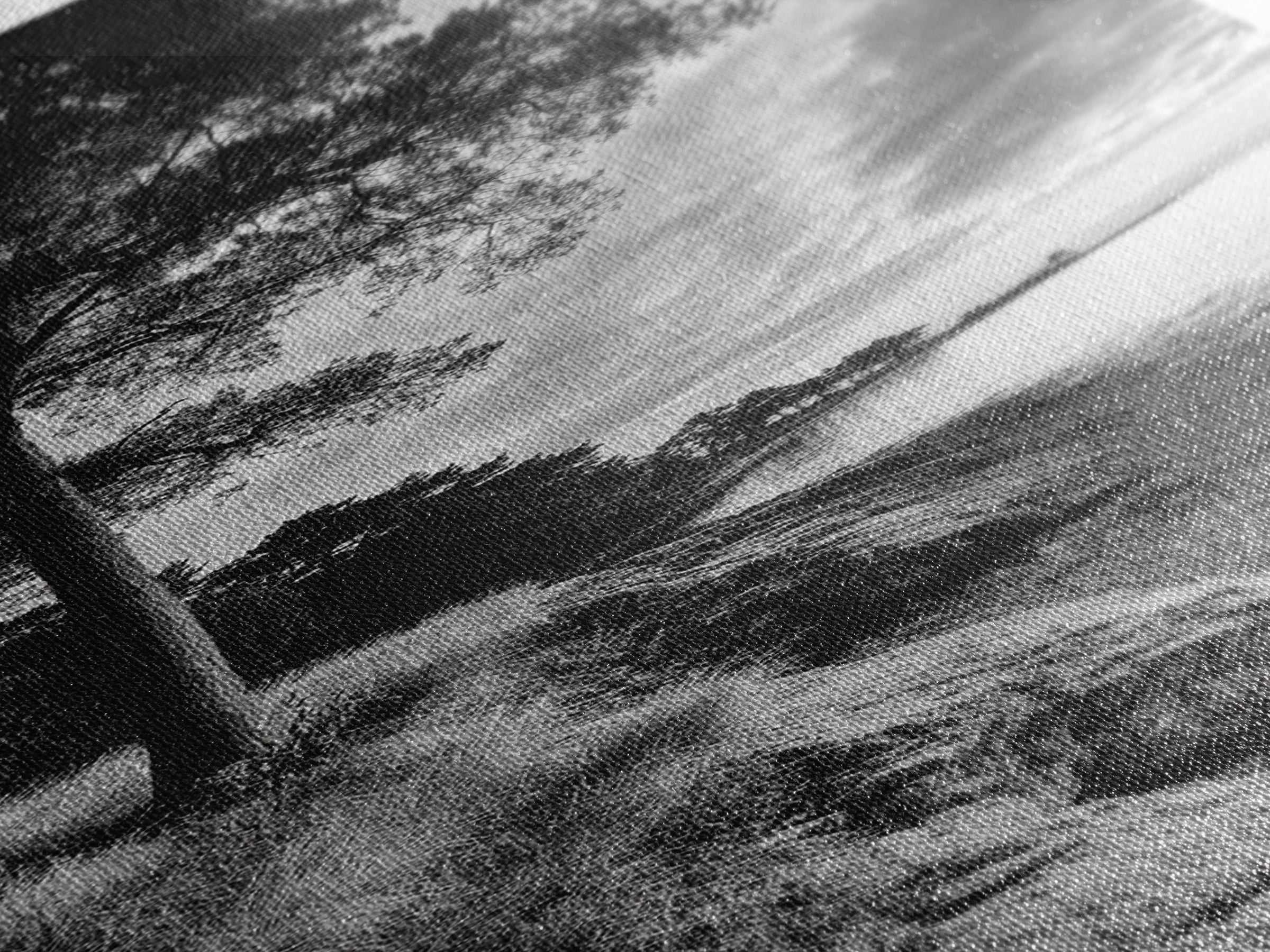 Coastal Tree, Ocean Horizon, Windswept Shore, Nature Calm, Moody Sky, Framed Canvas Print, Office Wall Art, Coastal Rustic Aesthetic