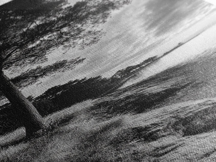 Coastal Tree, Ocean Horizon, Windswept Shore, Nature Calm, Moody Sky, Framed Canvas Print, Office Wall Art, Coastal Rustic Aesthetic