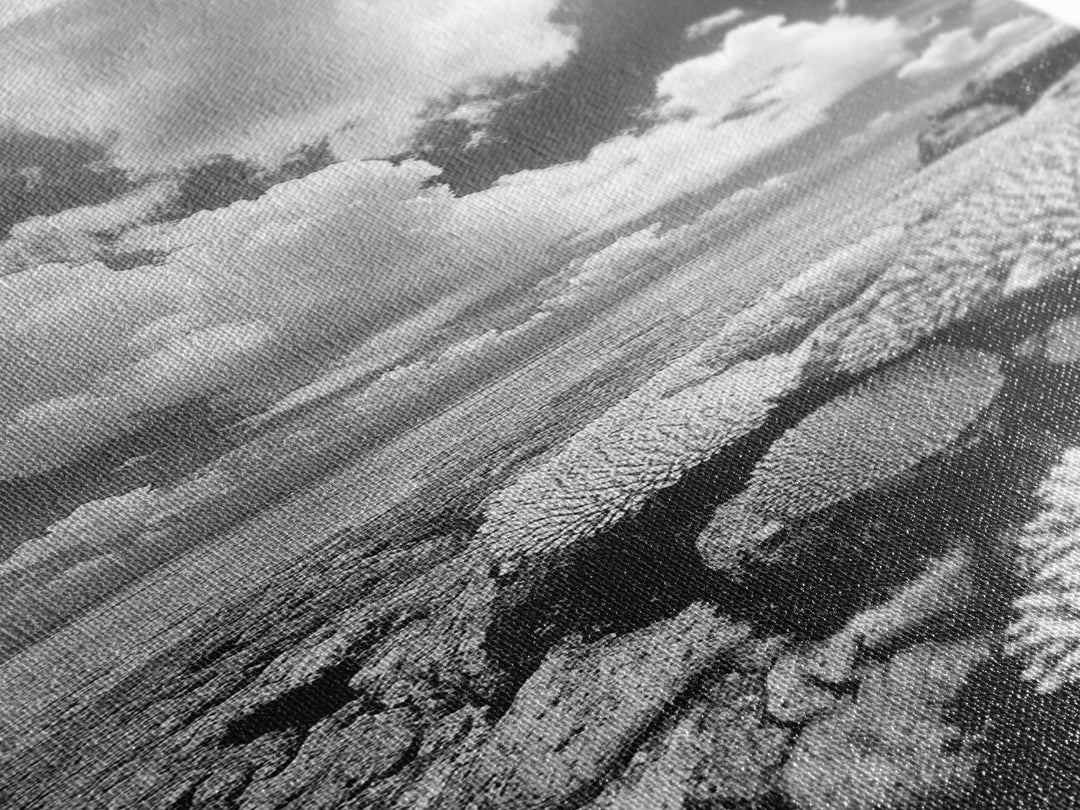 Coral Reef, Ocean Horizon, Puffy Clouds, Framed Canvas Print, Coastal Bathroom Art, Nautical Decor, Black and White Beach Style