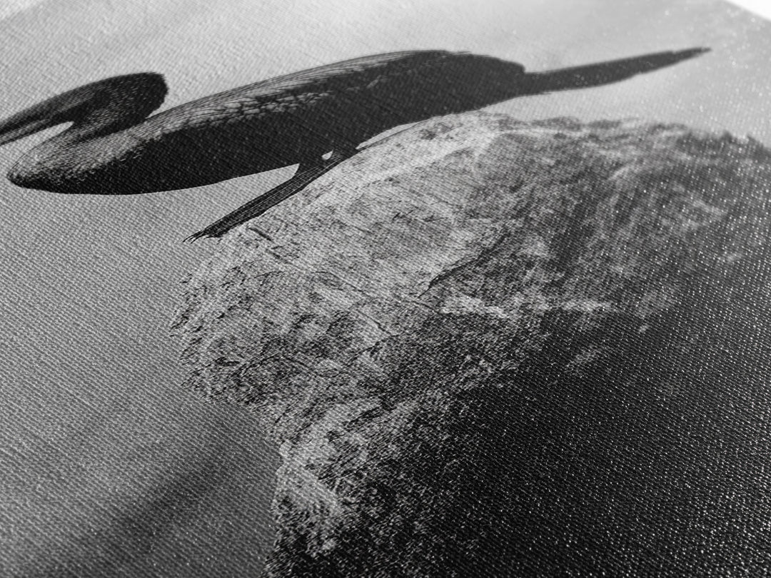 Cormorant Bird, Driftwood Perch, Moody Sky, Framed Canvas Print, Coastal Wildlife Wall Art, Nature Lover Gift, Rustic Room Decor