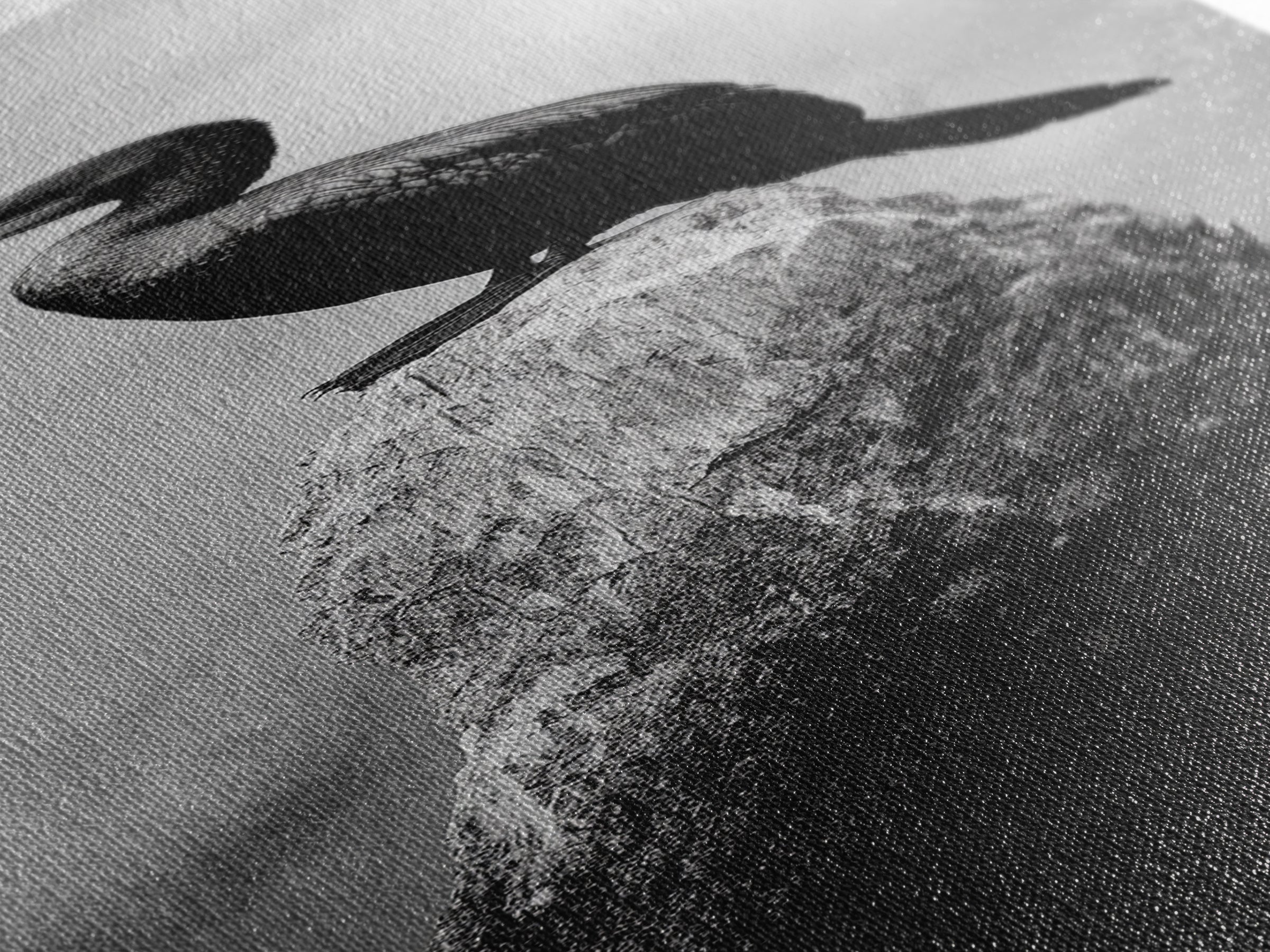 Cormorant Bird, Driftwood Perch, Moody Sky, Framed Canvas Print, Coastal Wildlife Wall Art, Nature Lover Gift, Rustic Room Decor